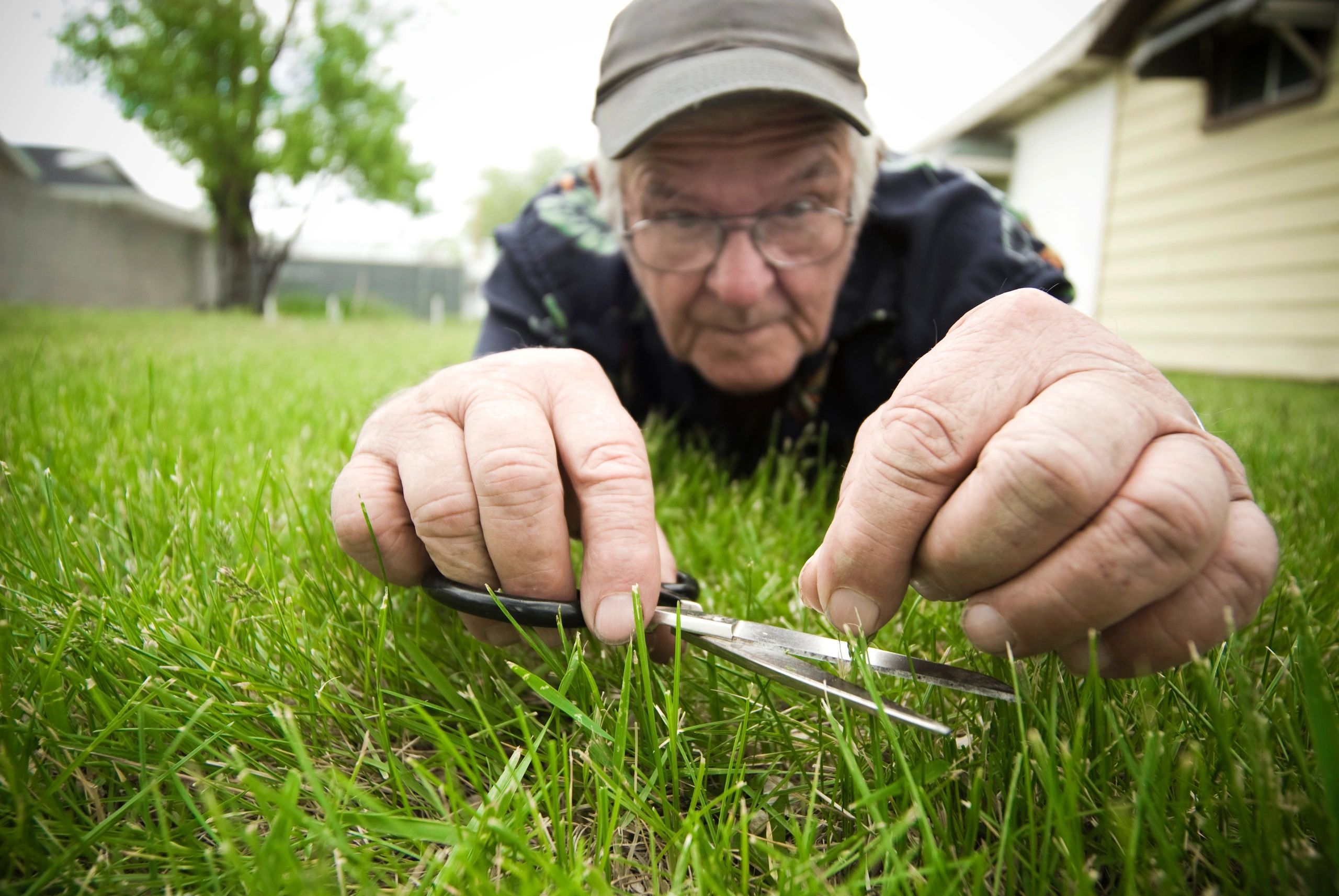 Bagging vs. Mulching Grass Clippings: Which Is Better?