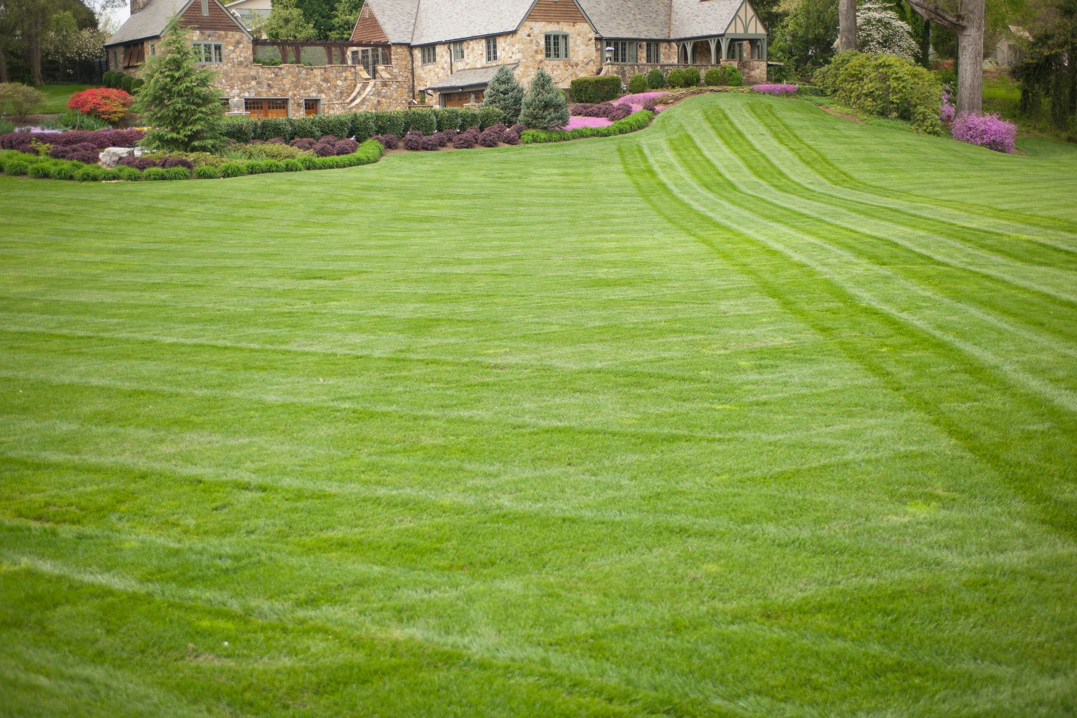 Commercial Lawn Care