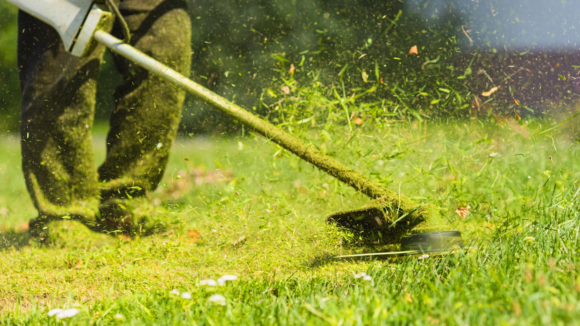 Lawn Fertilization